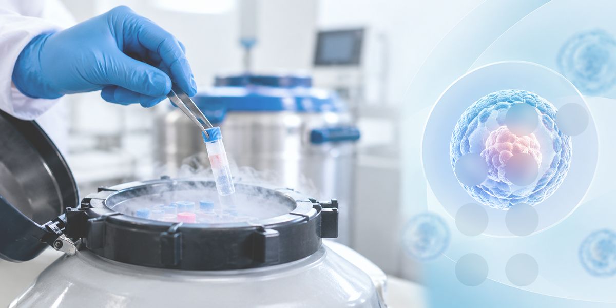 Does Long-Term Embryo Cryostorage Affect Embryo Competence and Pregnancy Outcomes?