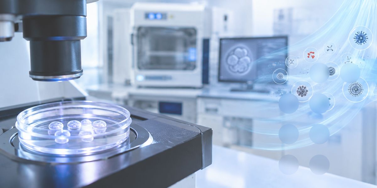 Air Quality in the IVF Laboratory