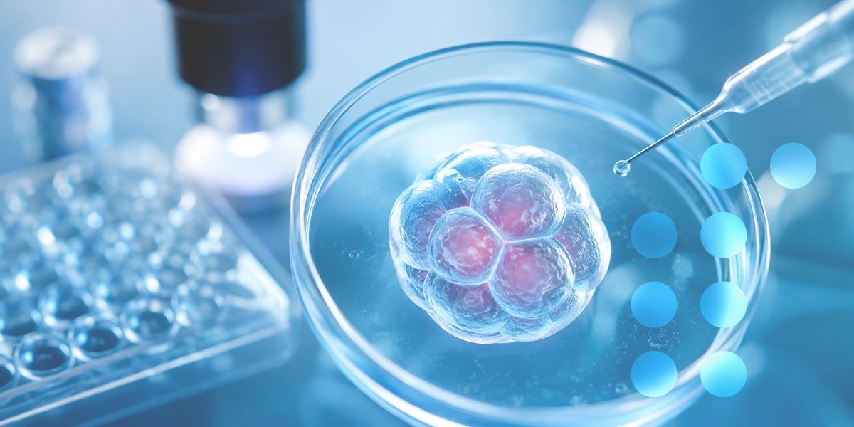 Low-Oxygen Embryo Culture: What Does the Evidence Really Tell Us?